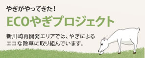 エコやぎプロジェクト