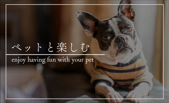 ペットと楽しむ
