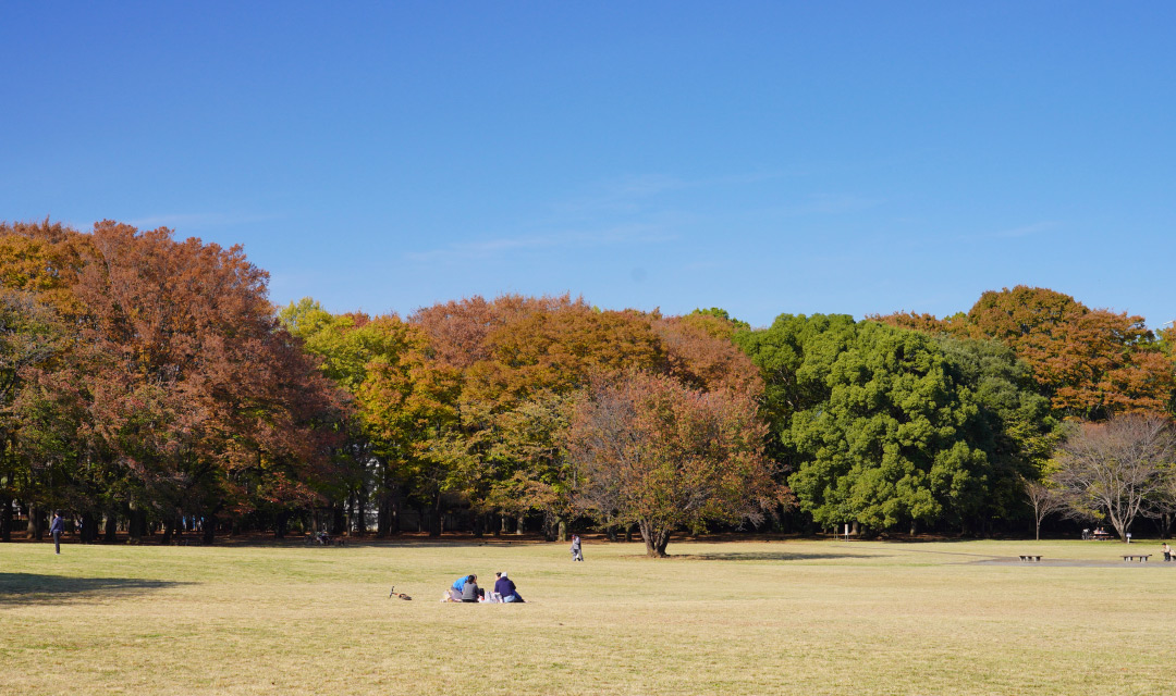 小金井公園