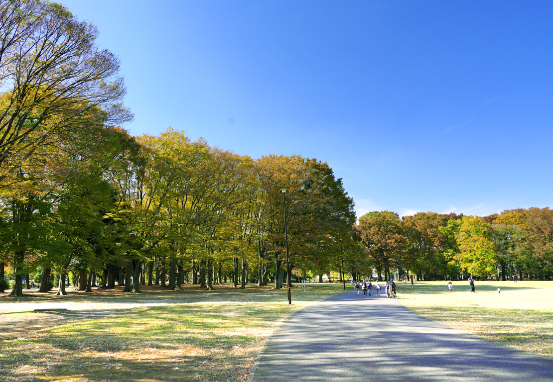 小金井公園（約1,360m/徒歩17分）