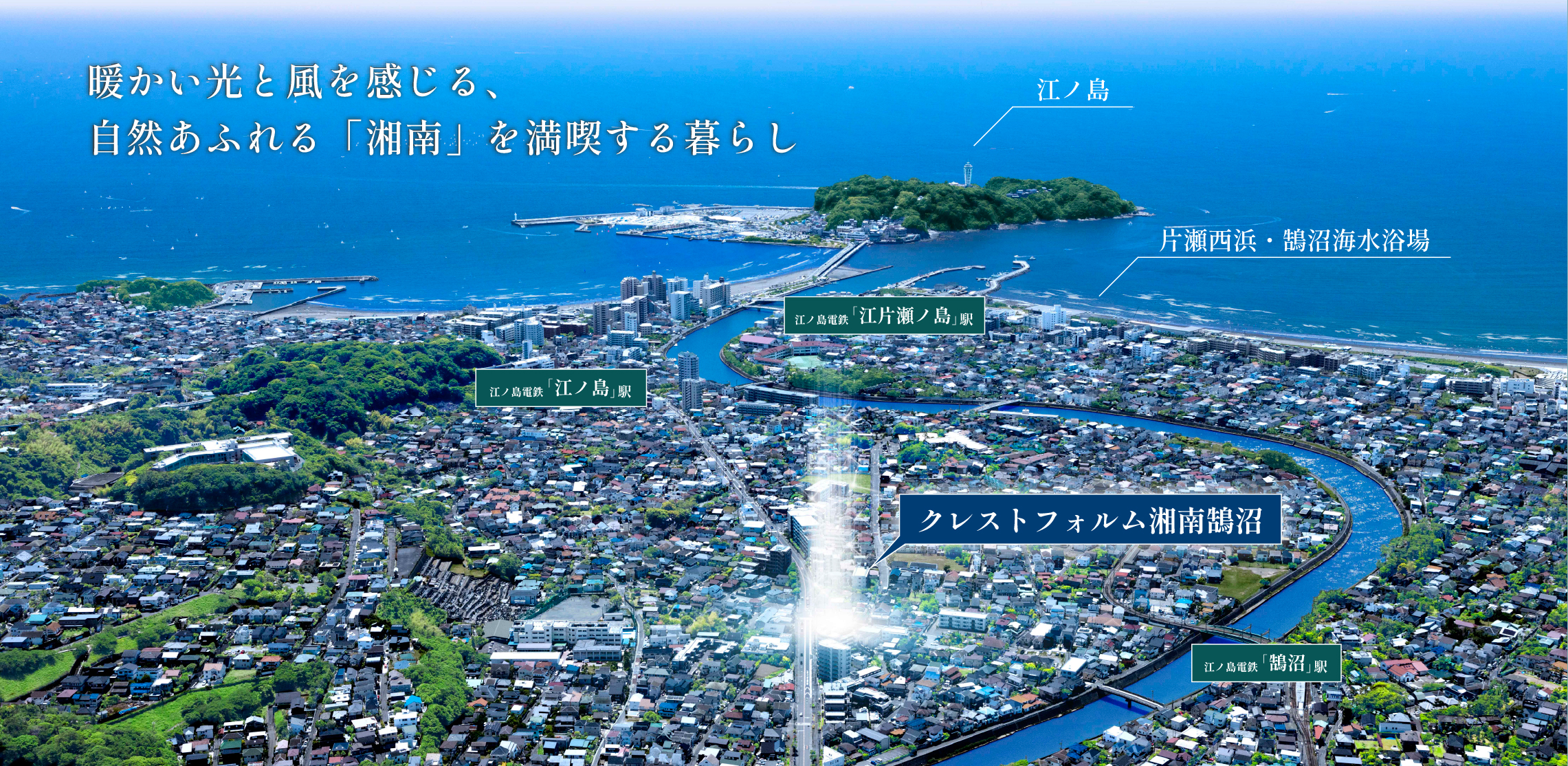 空撮