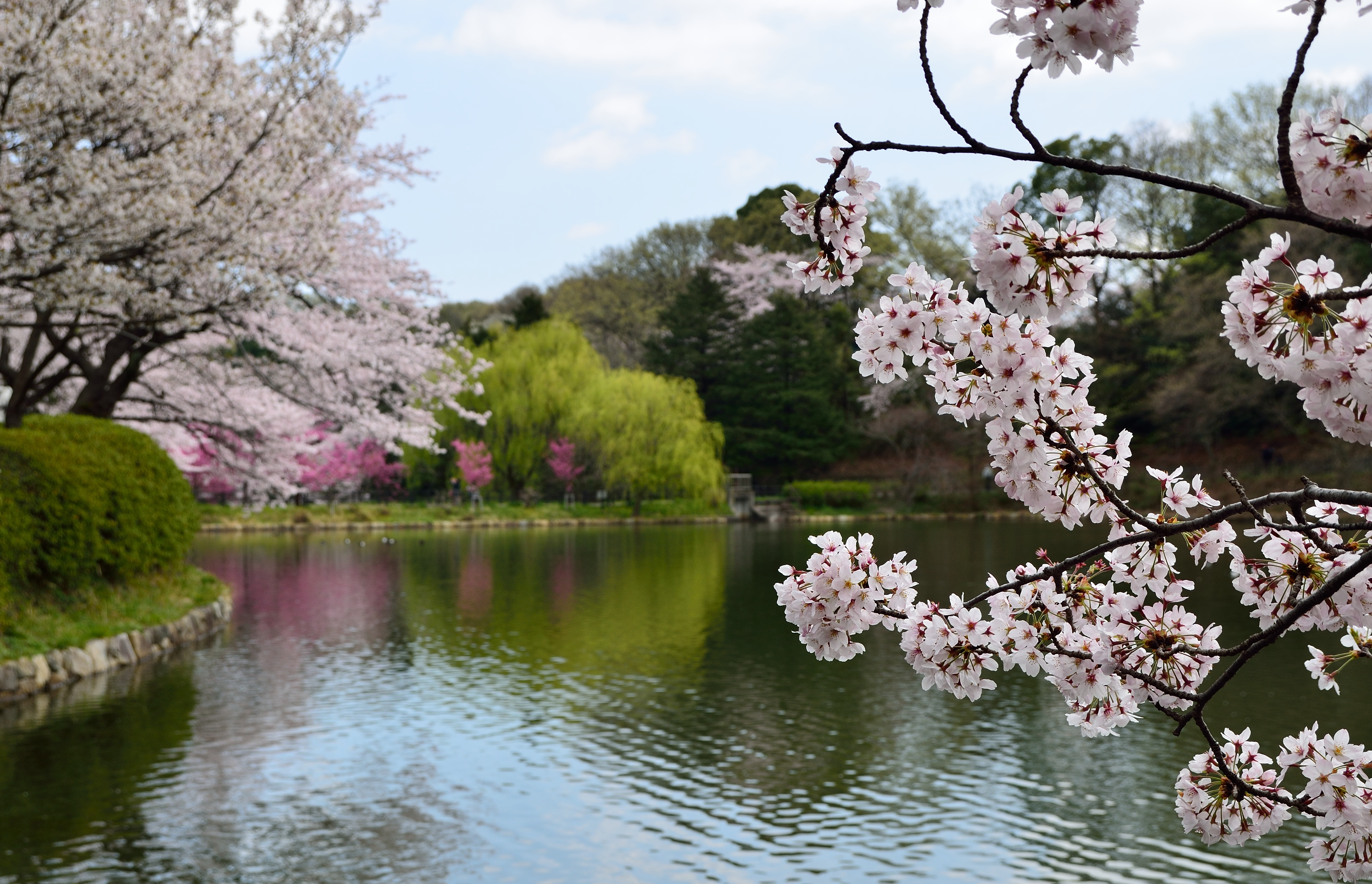 三ツ池公園