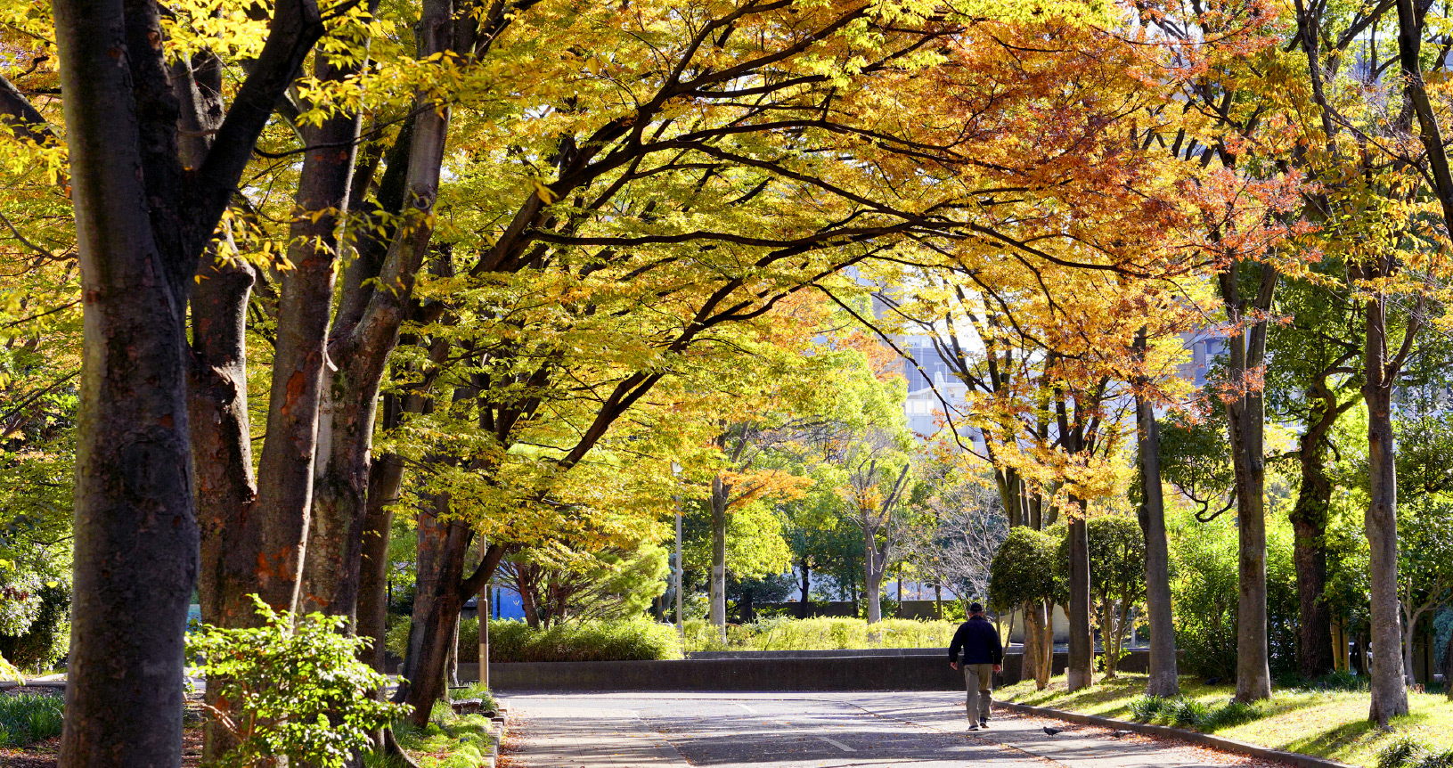 仙台堀川公園（徒歩8分／約600m）