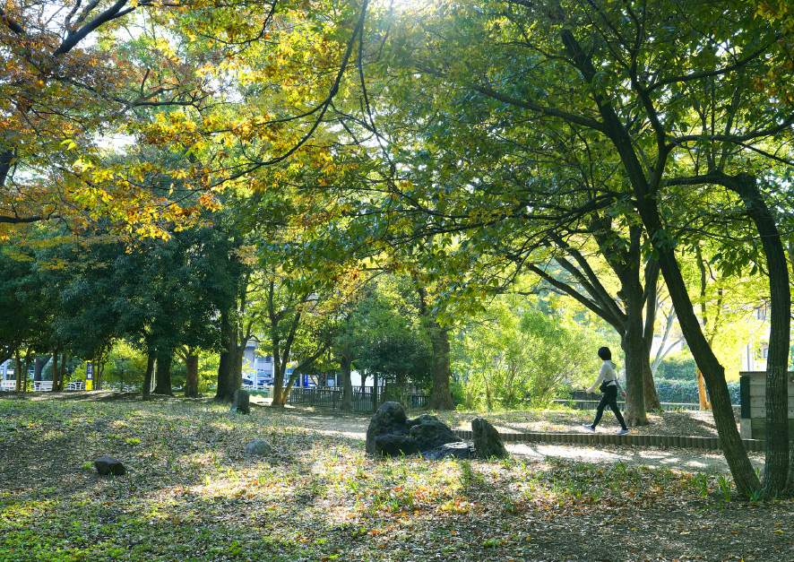 仙台堀川公園（徒歩8分／約600m）