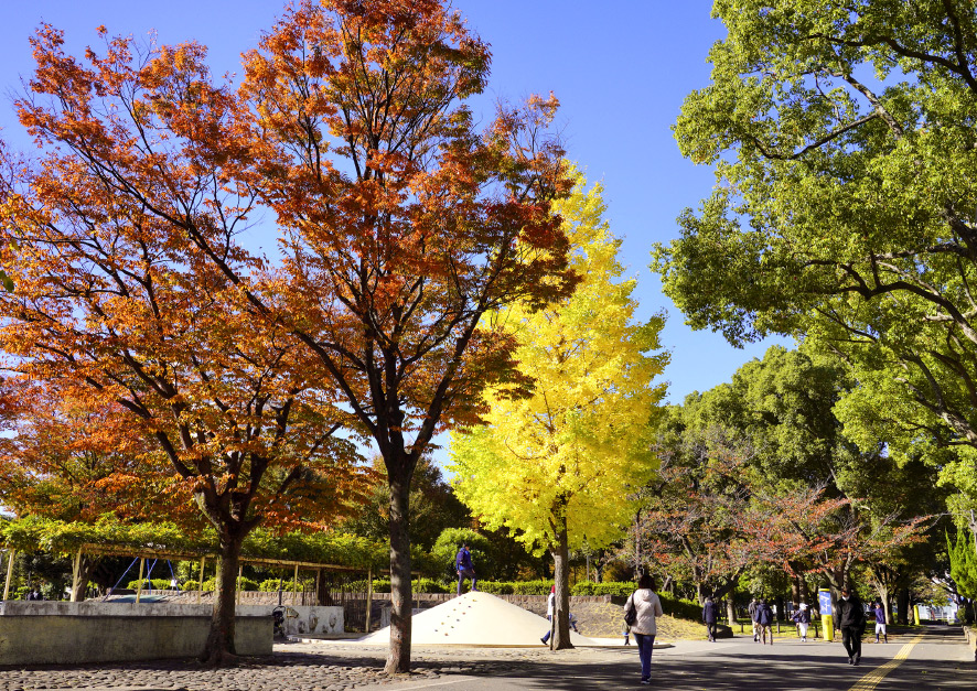 南砂三丁目公園（徒歩5分／約360m）