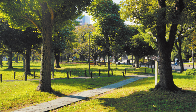 南砂三丁目公園