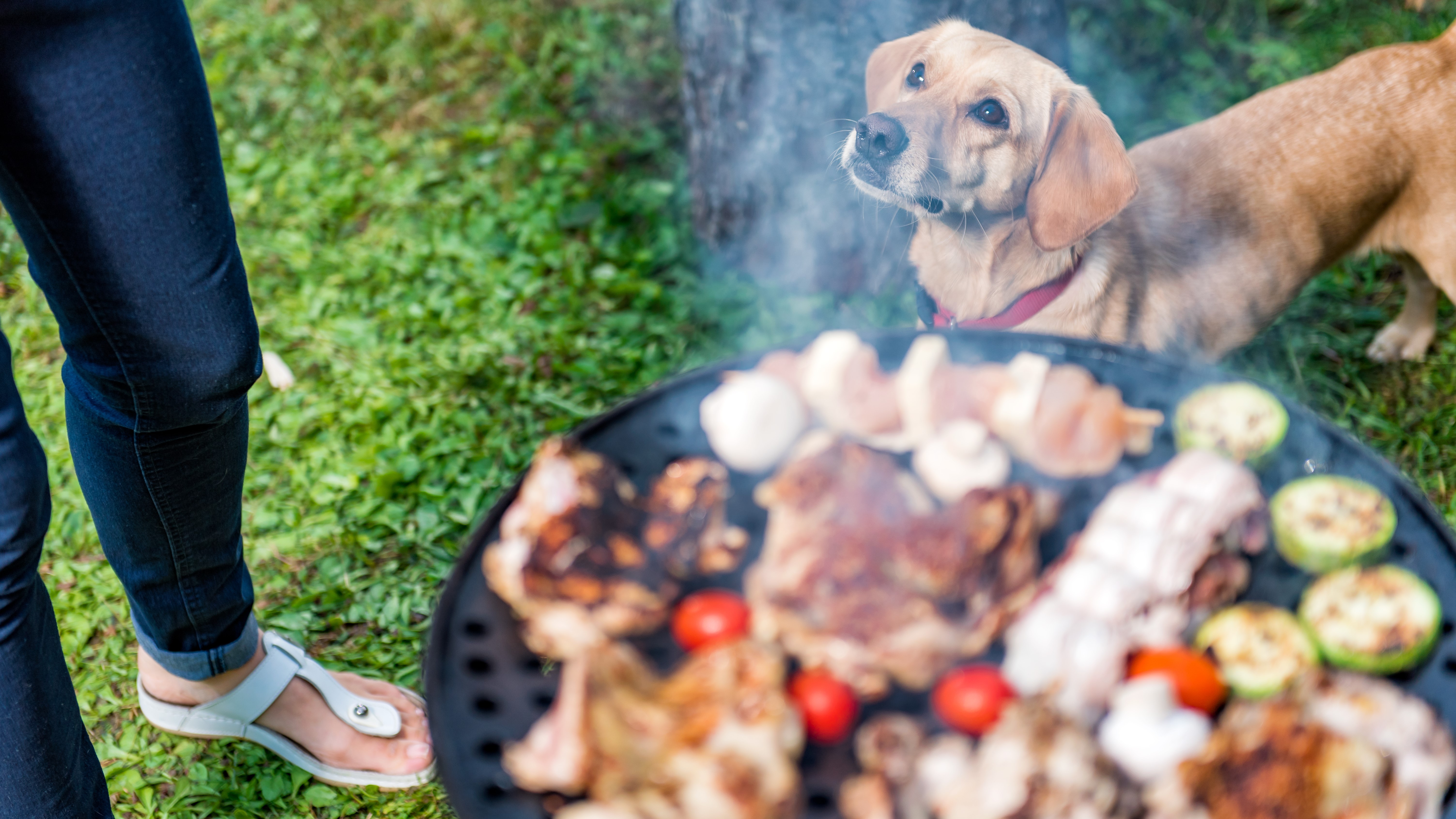 BBQテラスイメージ画像