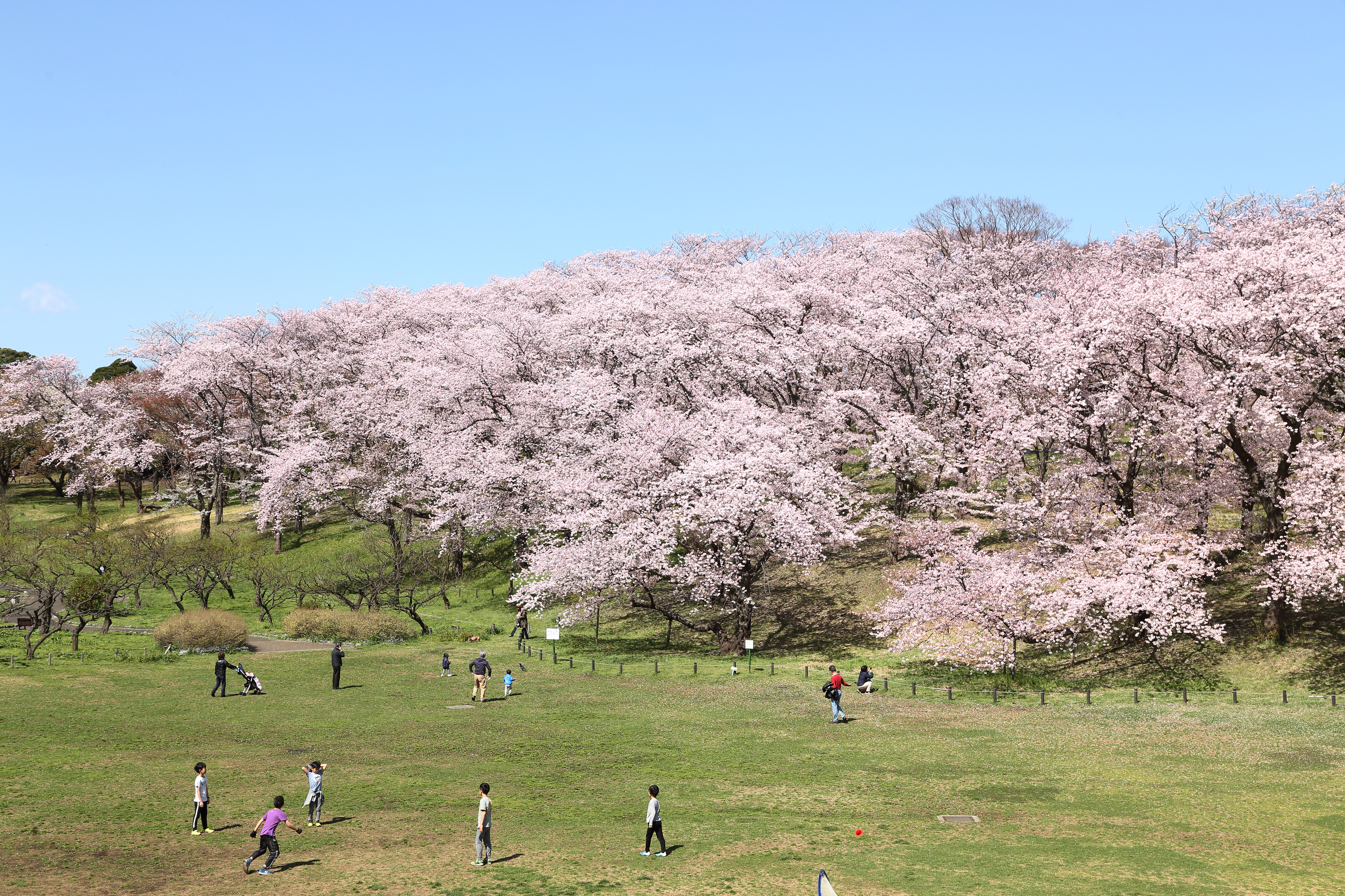 根岸公園