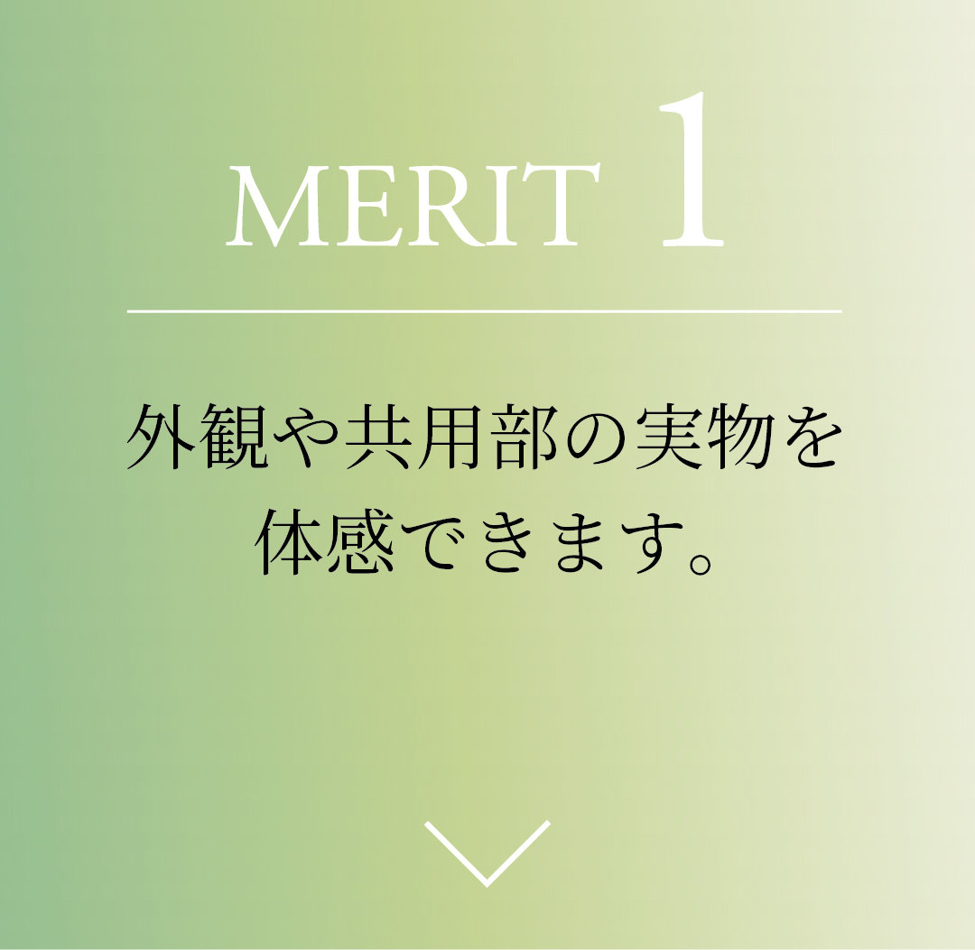 MERIT1