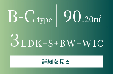B-Ctype