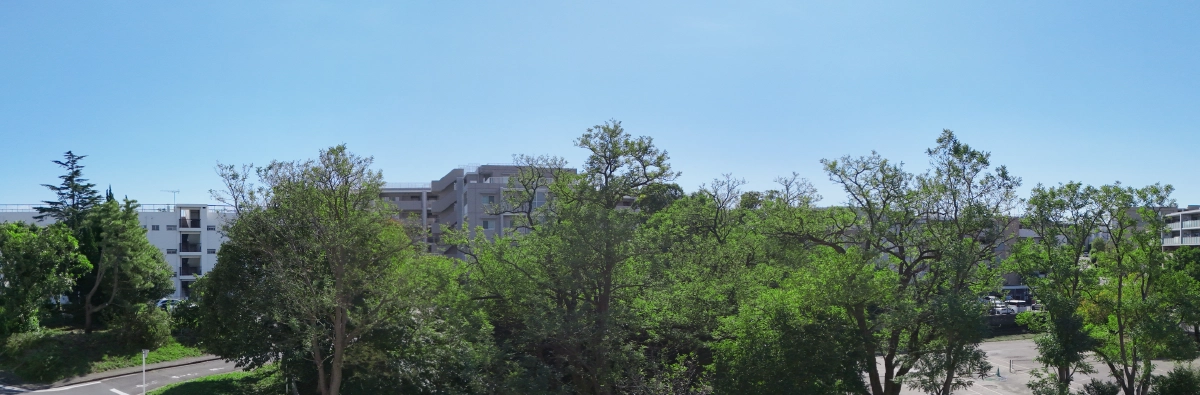 現地4階相当からの眺望写真