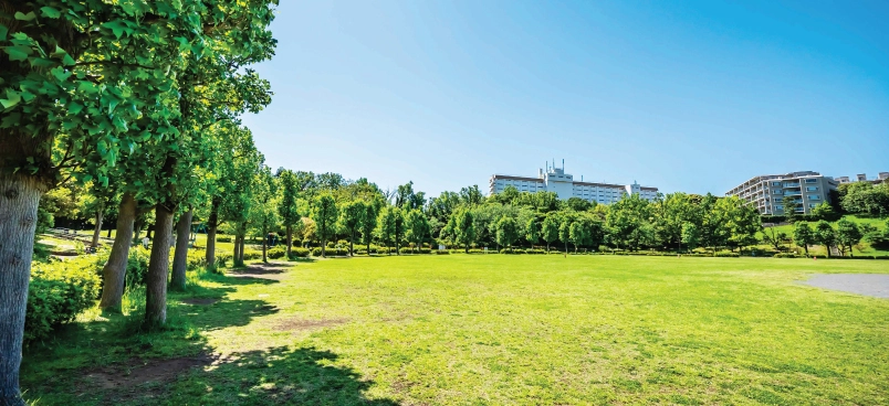 自然豊かな公園